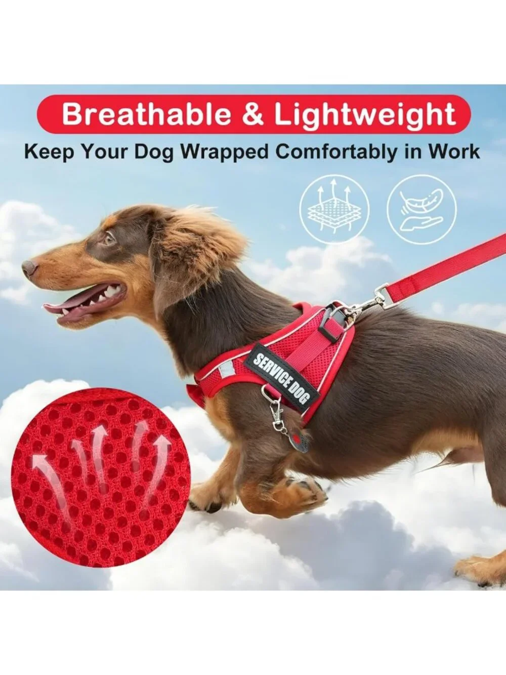 Lightweight Service Dog Vest Harness for Small Breeds with ID Tag & 10 Patches